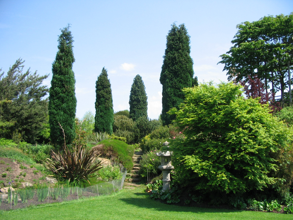 Ландшафтный дизайн