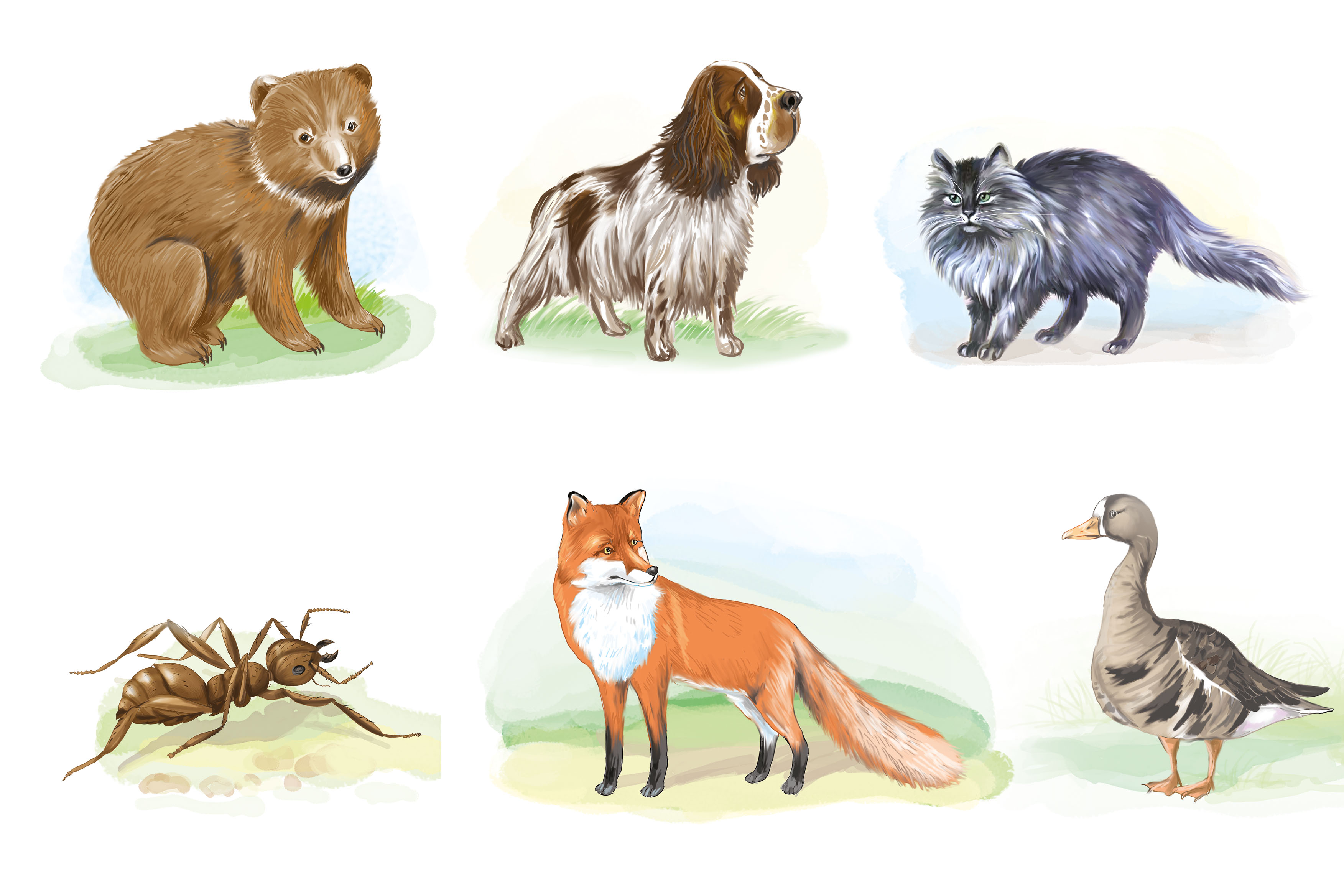 рисунки к книгам