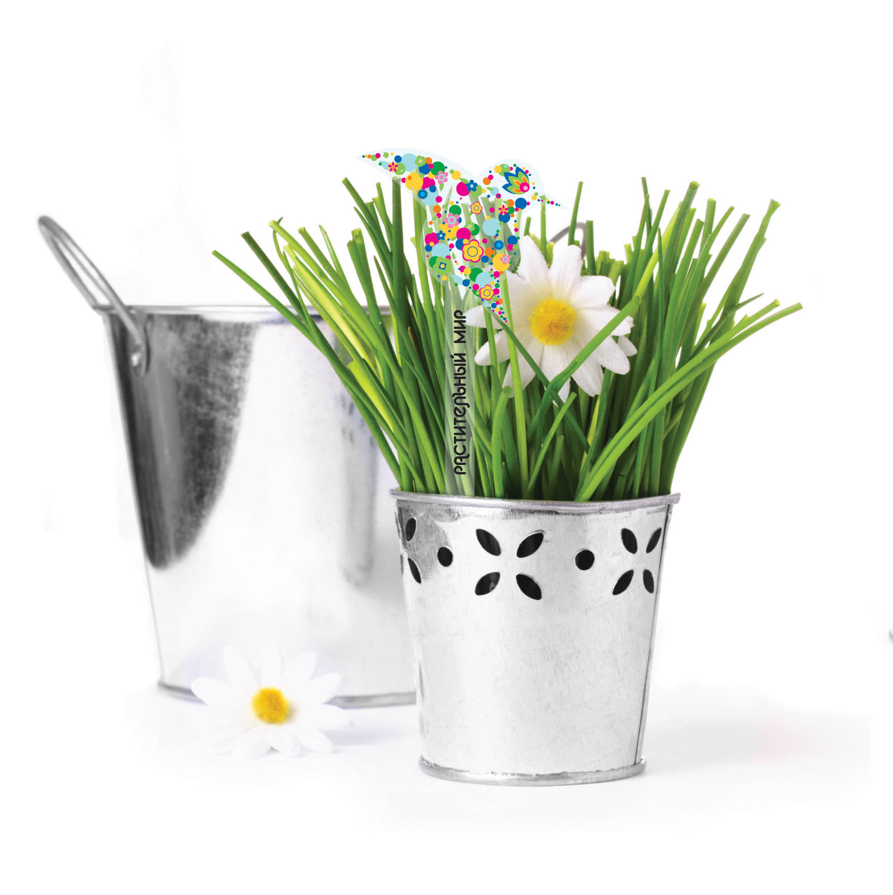 Фирменный стиль для компании "Растительный мир"