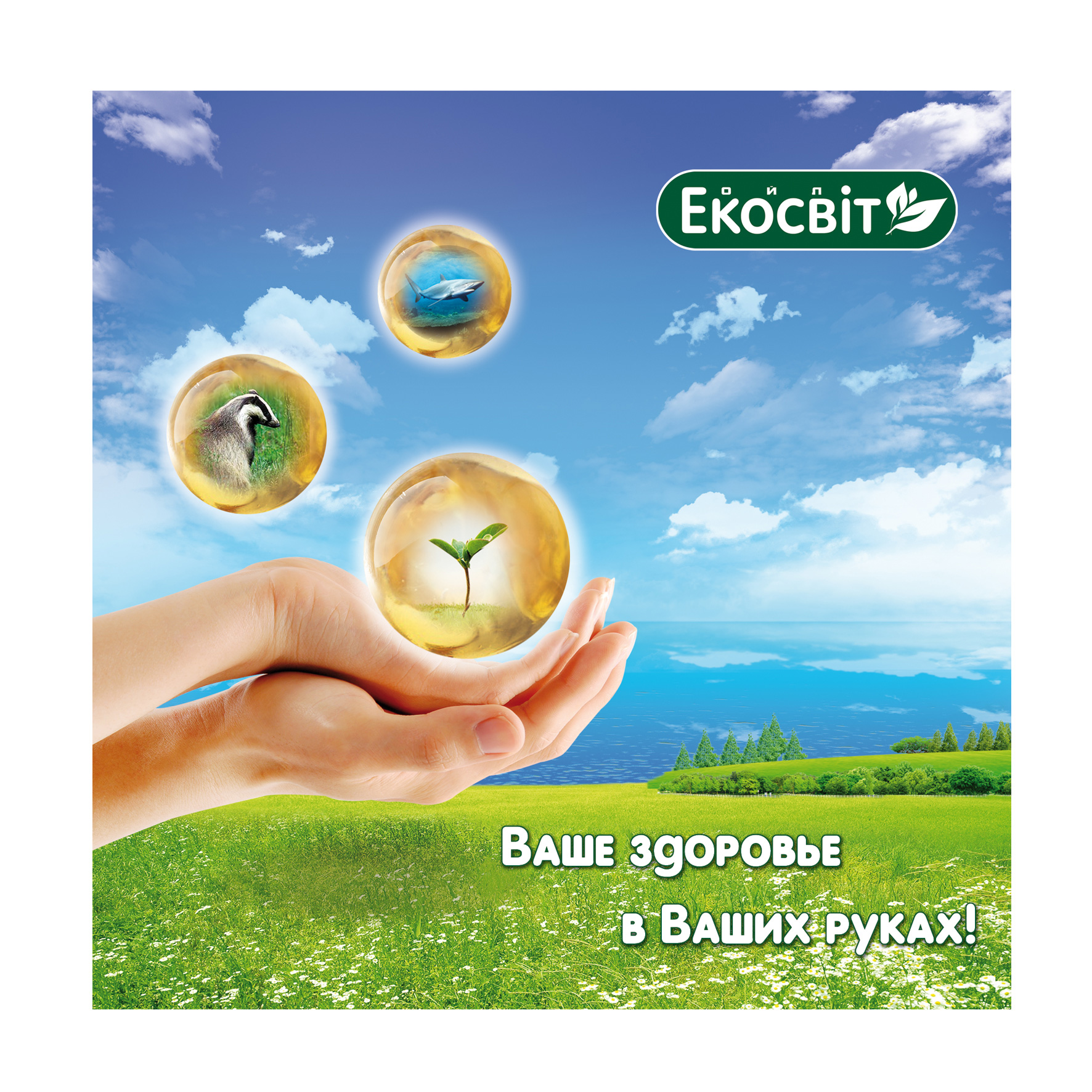 Баннер на выставку для "Экосвит-Ойл" 2мх2м