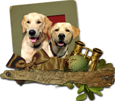 Друзья (на кружку)