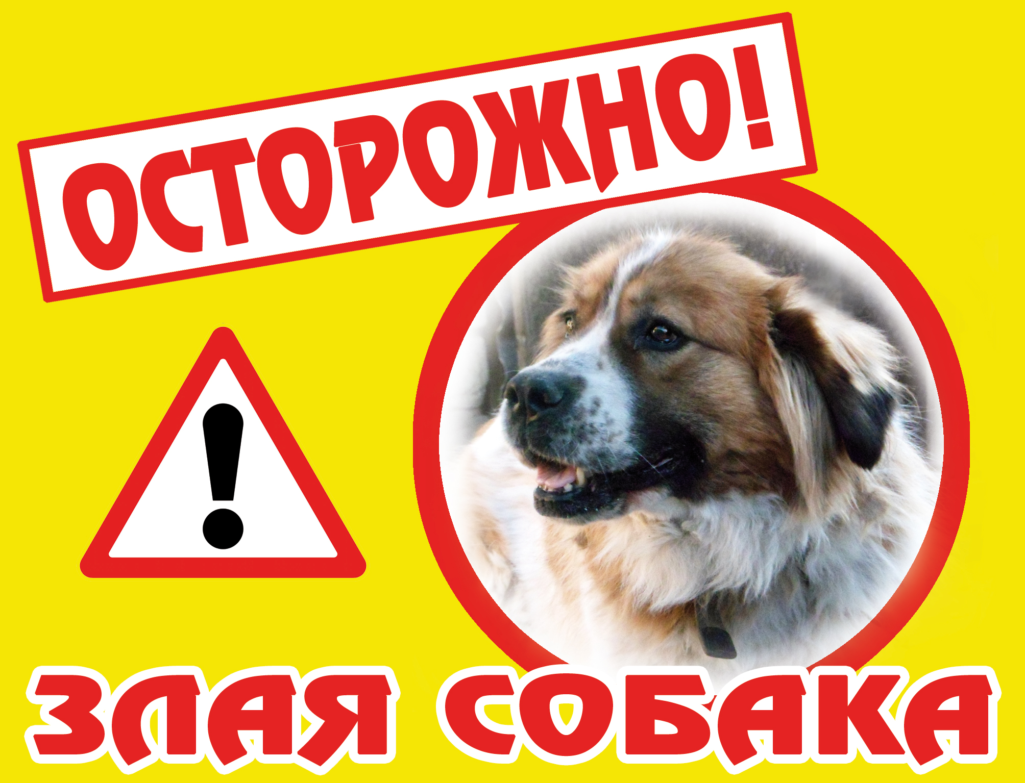 Табличка "Злая собака"