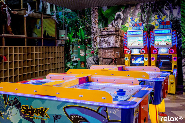 Реализация проекта детского центра  «Discovery Maxi» ТЦ"Замок&quo