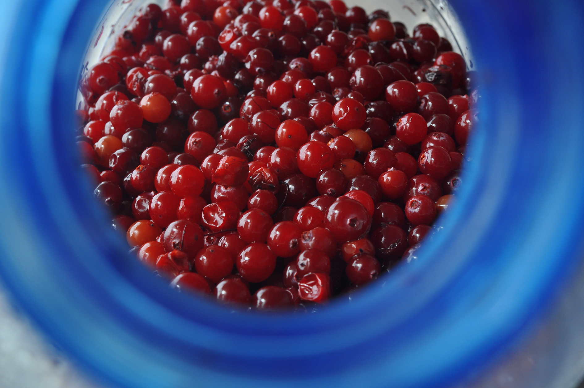 фото ( курс "цвет в фотографии")