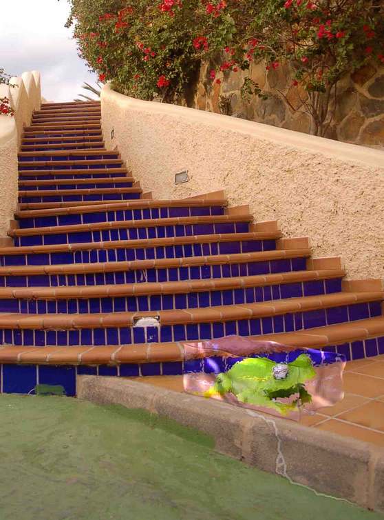 Я принес тебе подарок!