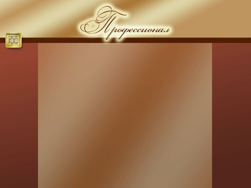 профессионал 2