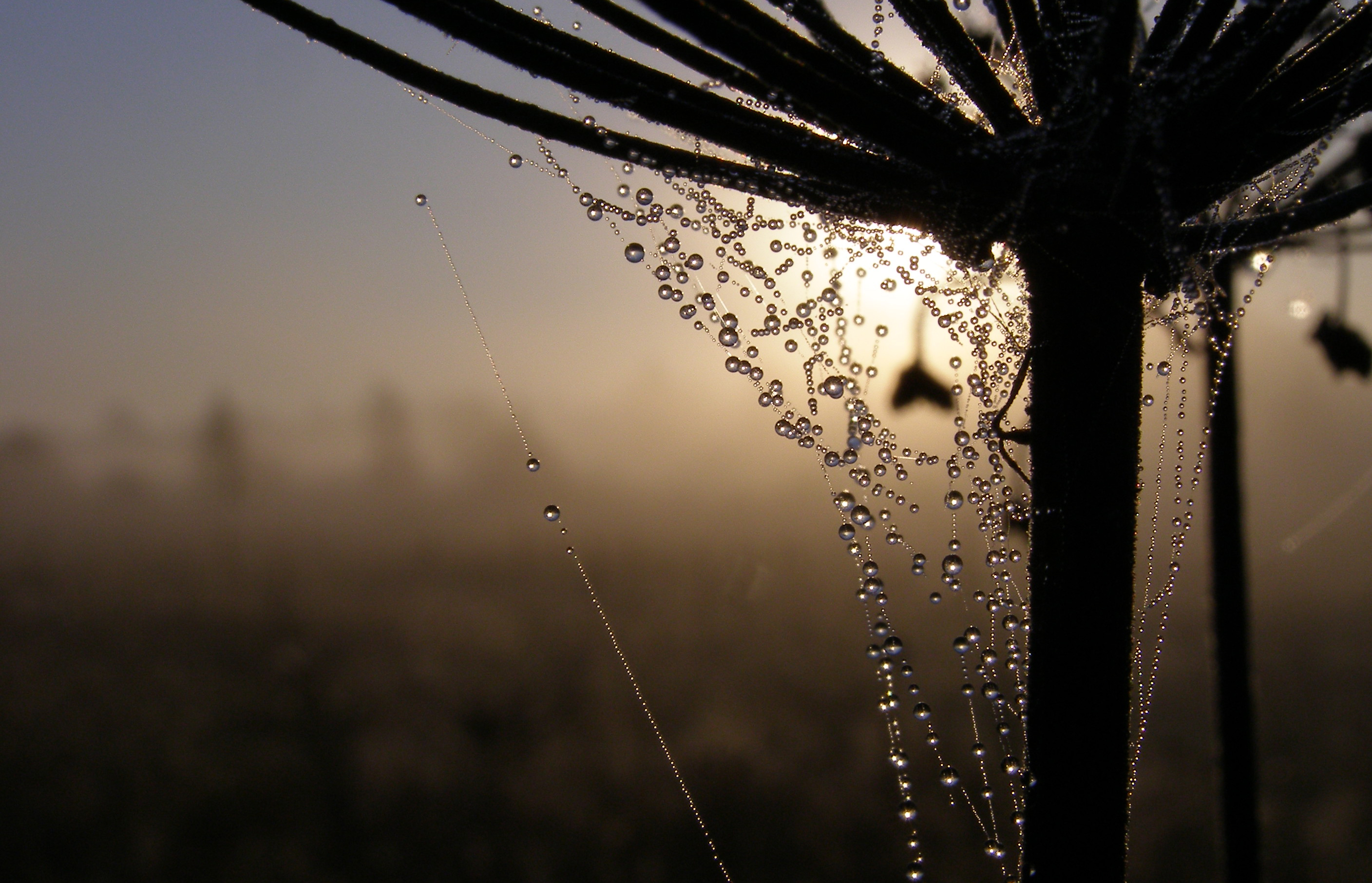 one morn
