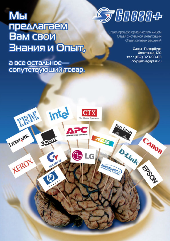 Рекламный модуль компьютерной фирмы «Свега+»