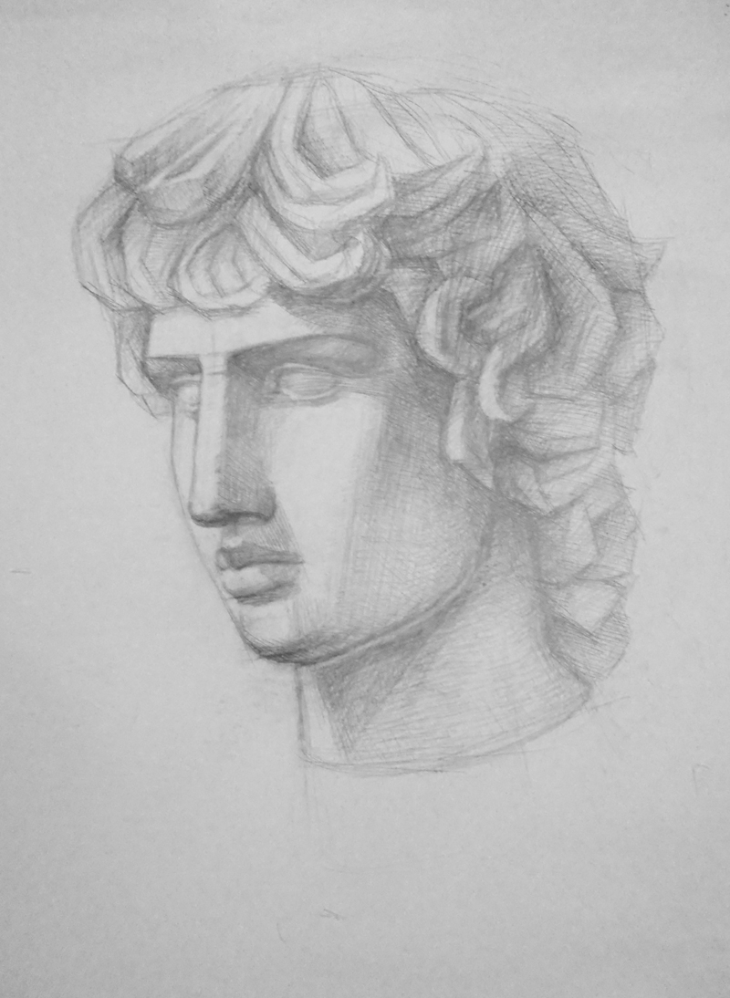 Антиной (академический рисунок)