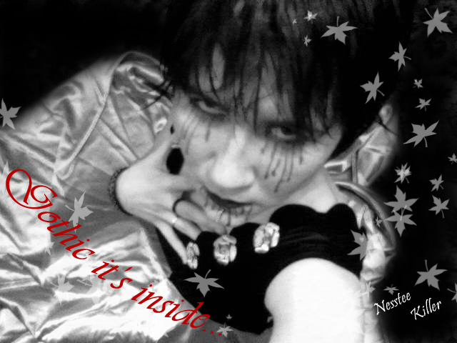 Прикреплённый файл