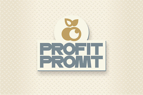 Логотип компании "Profit Promt" (4)