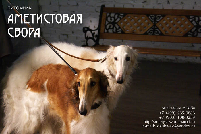 рекламный модуль - полноцветный макет А4