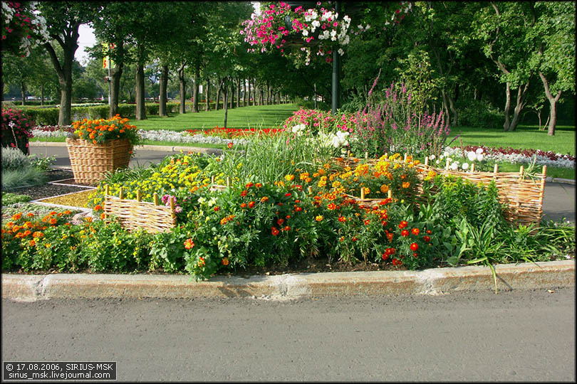 4 Московский фестиваль цветочного оформления "Мир спорта" (Л