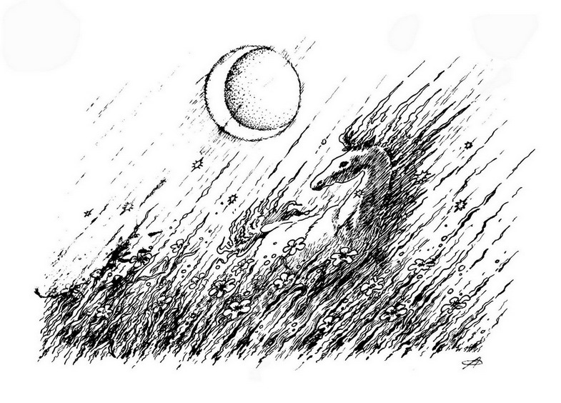 "Притяжение луны"