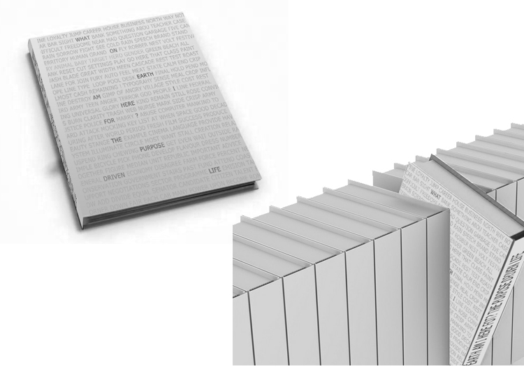 Обложк книги "What on Earth Am I Here For?"