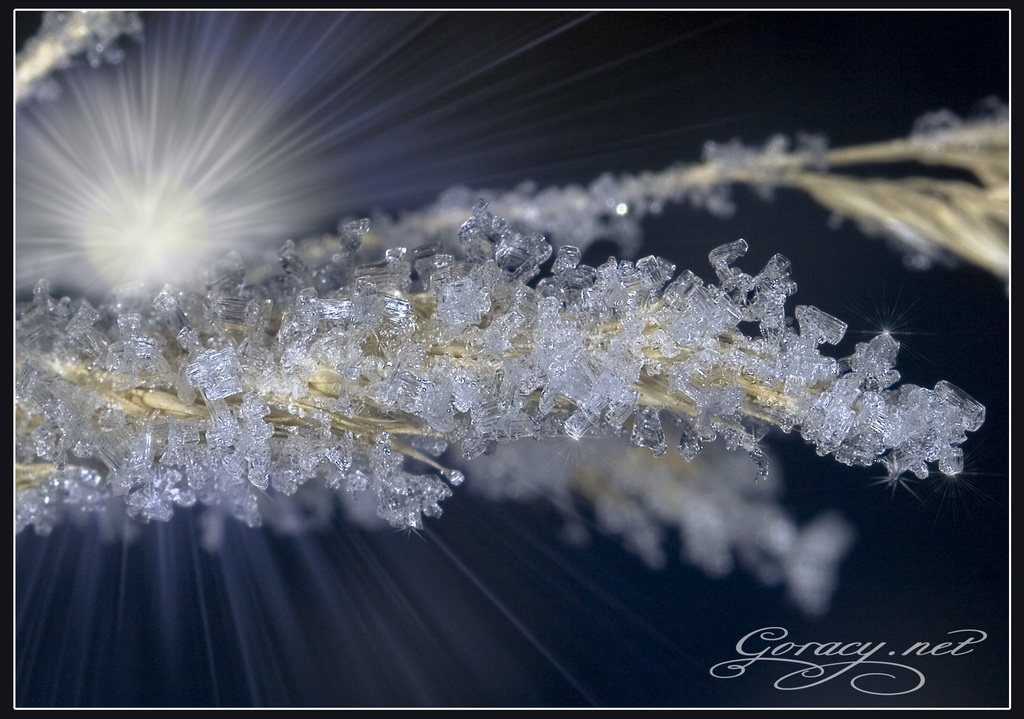 Живые кристалы