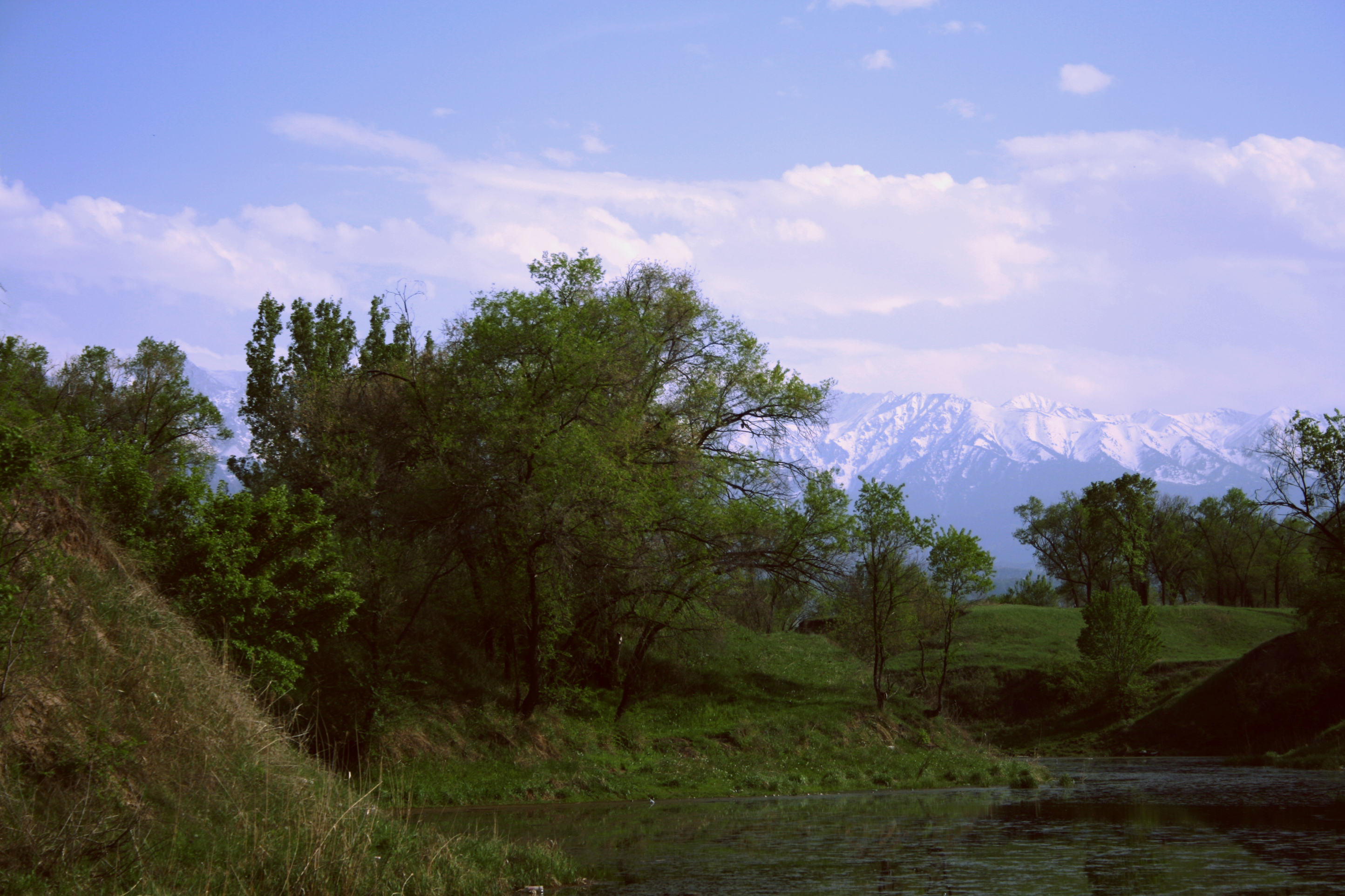 Вид на горы