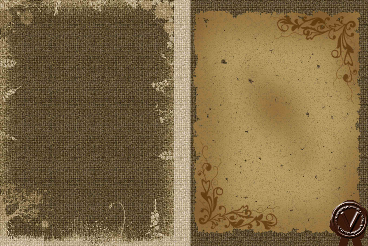 Разработка шаблона обложки dvd диска