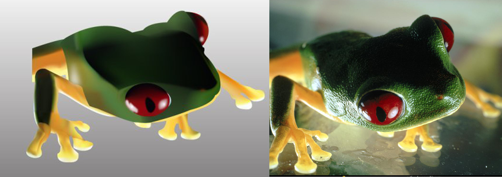 отрисовка лягушки