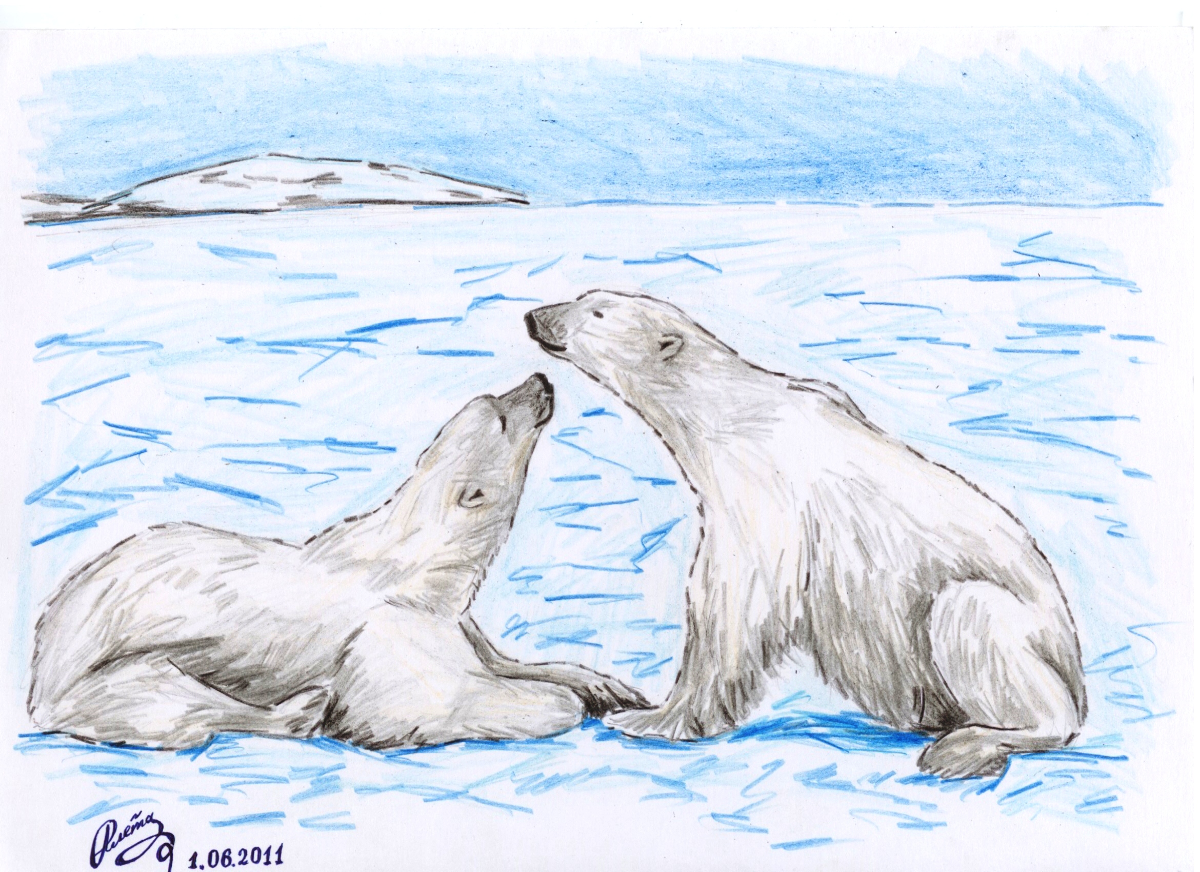 Мишки белые.