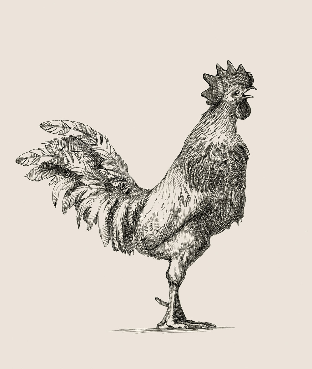 Графика для календаря