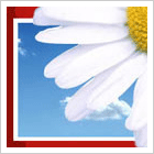 Сайт под ключ для spa салона