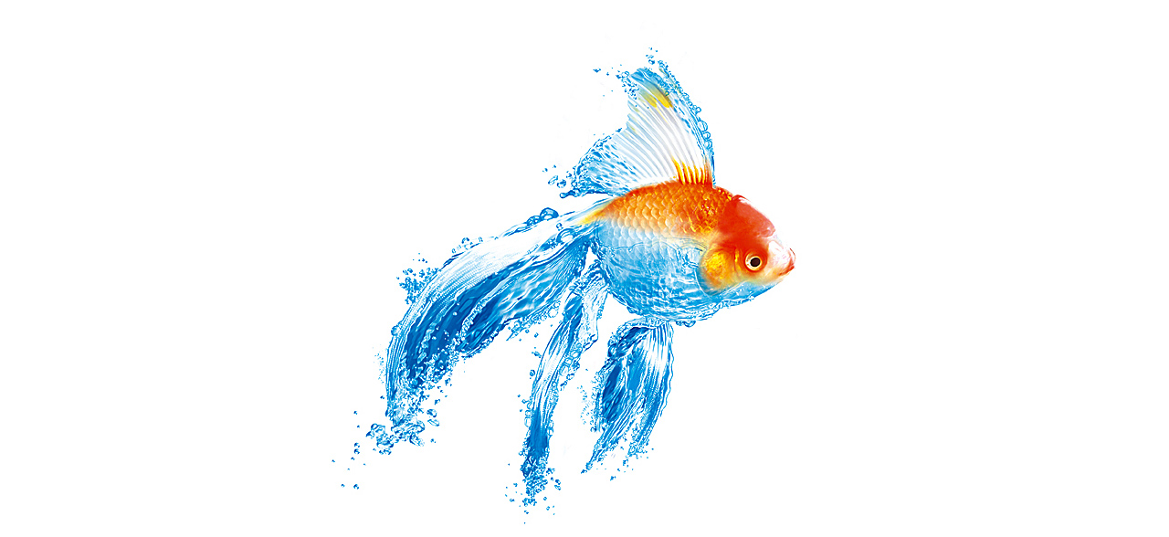 образ "золотая рыбка"