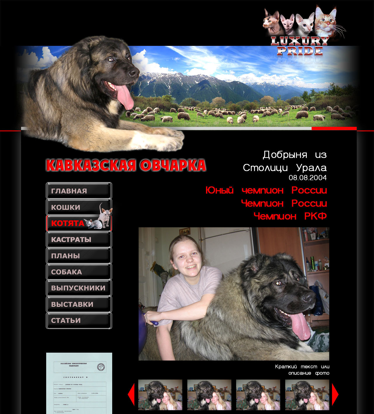 Luxury-pride собака