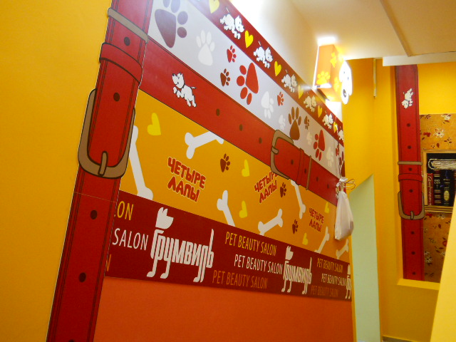 оформление лестницы в магазине "четыре лапы"