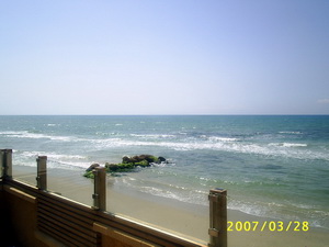 прикрепленный файл