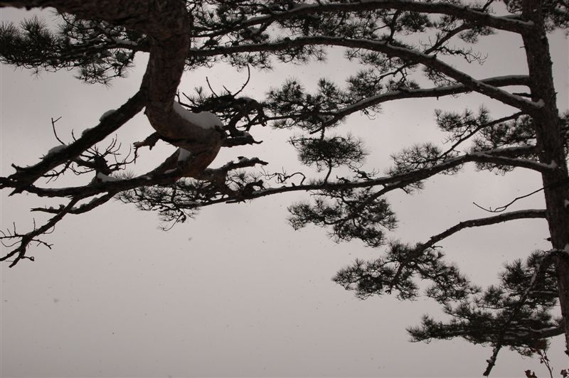 Китайская тушь? ;)