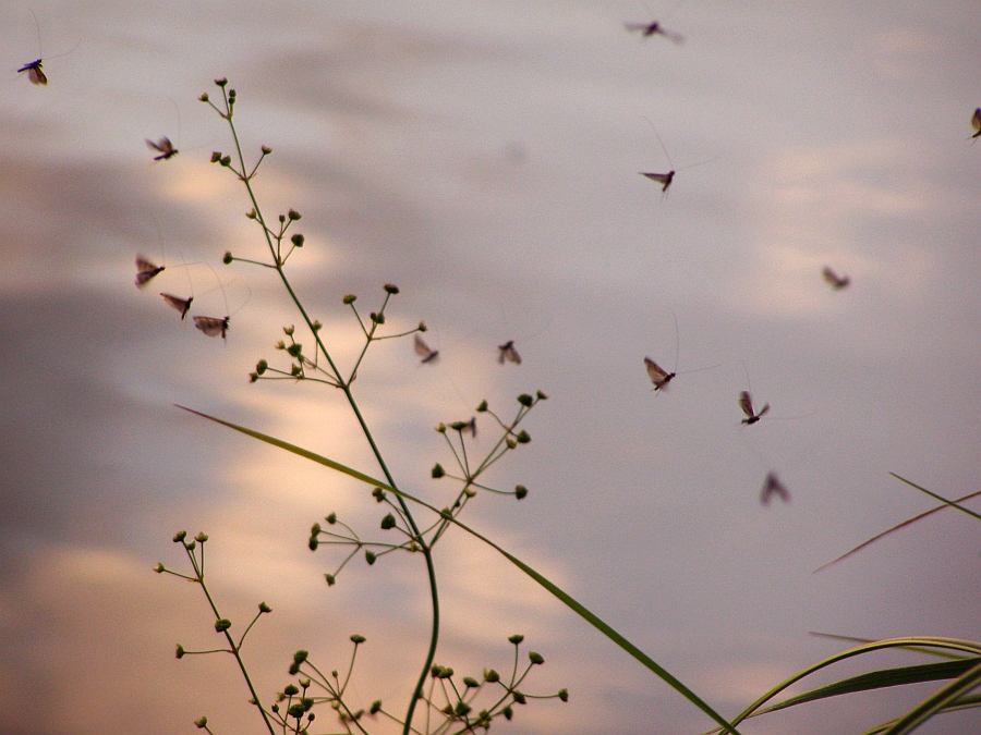 городские красоты