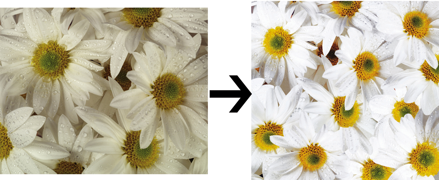 Фотопечать "Ромашки" для строительной компании