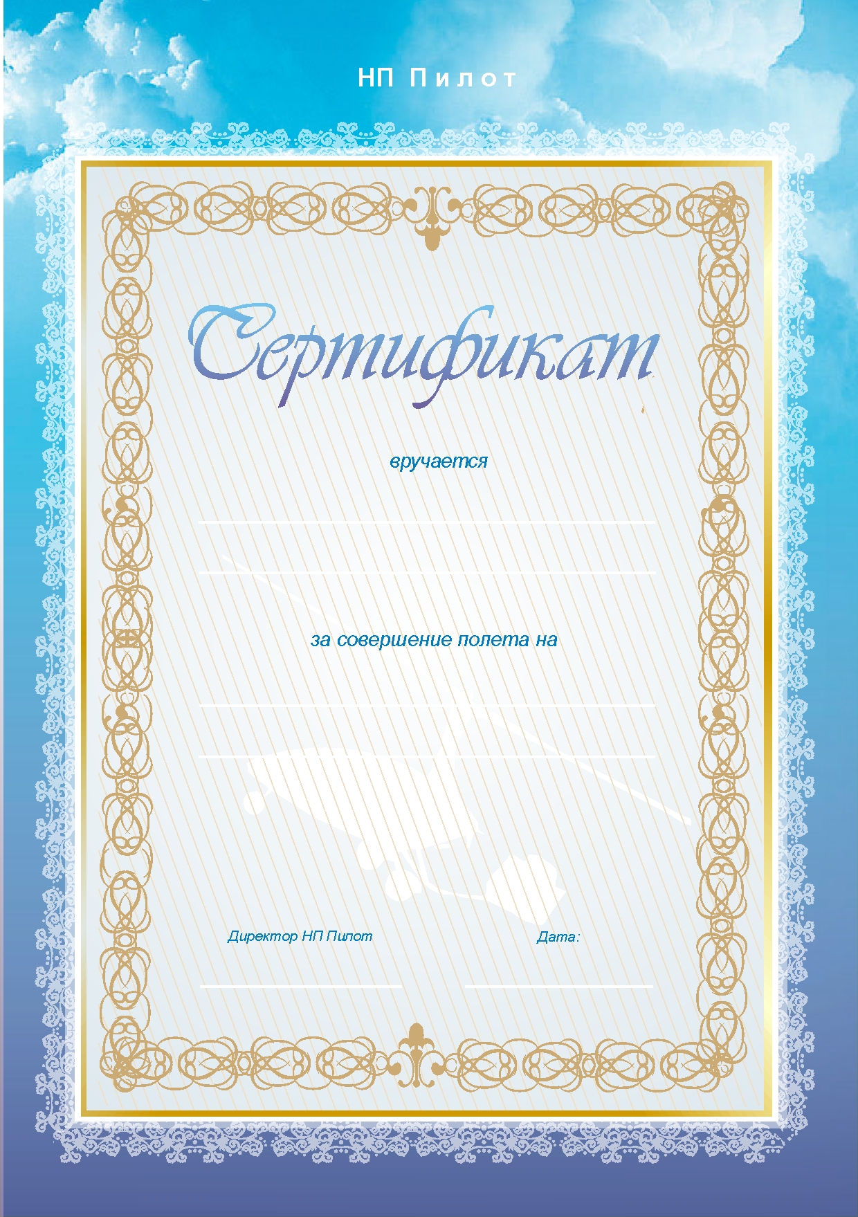 Сертификат "Пилот"