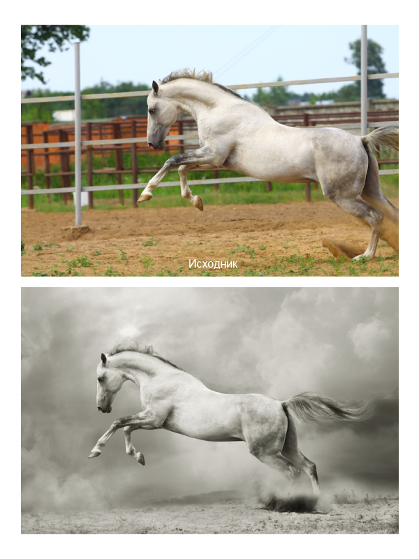 Фоторетушь