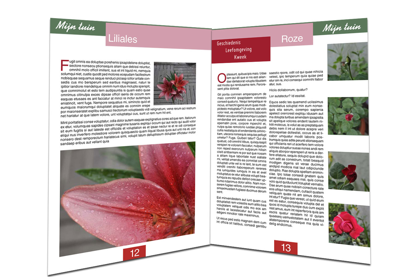 журнал "Мой сад"