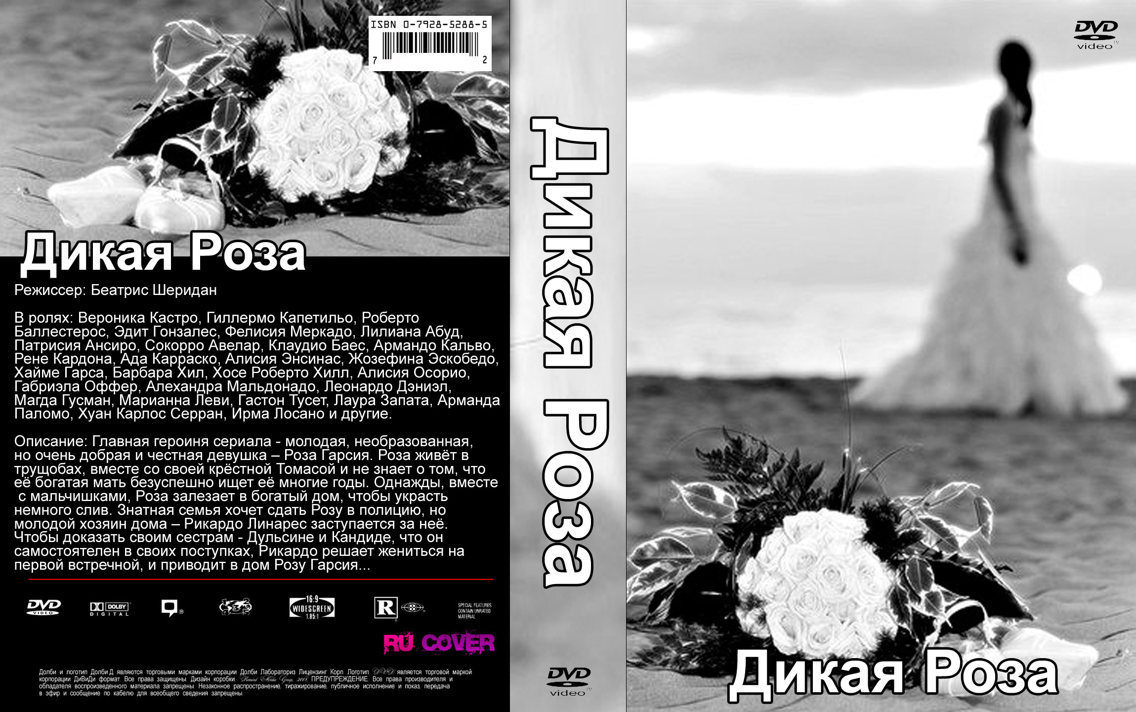 Дизайн DVD
