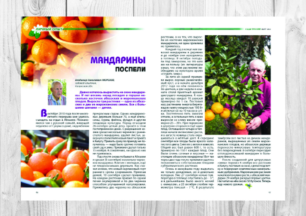 Вёрстка журнала "Сады России, примеры вёрстки.