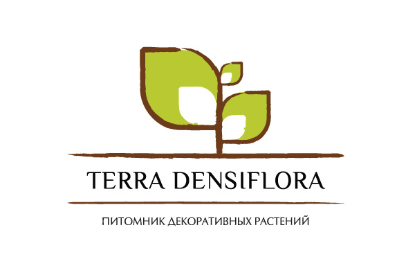 Terra Densiflora
