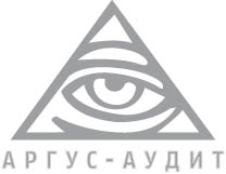 Логотип аудиторсой компании