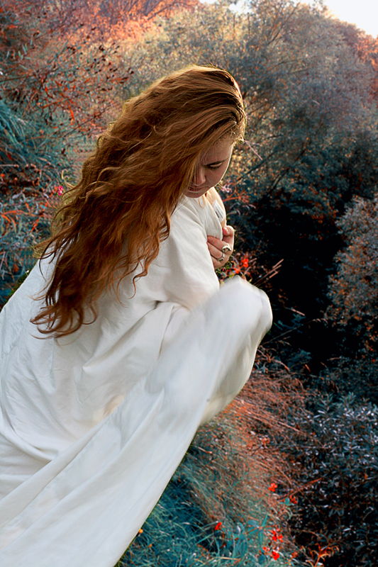 Царевна-лебедь