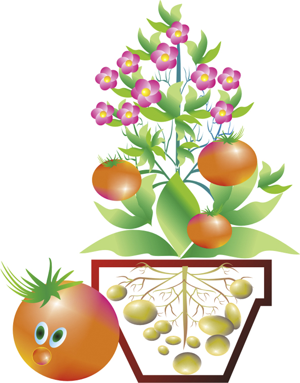 комнатное цветоводство...