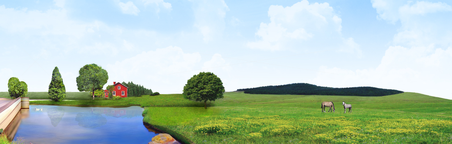 Коллаж для портала о животных