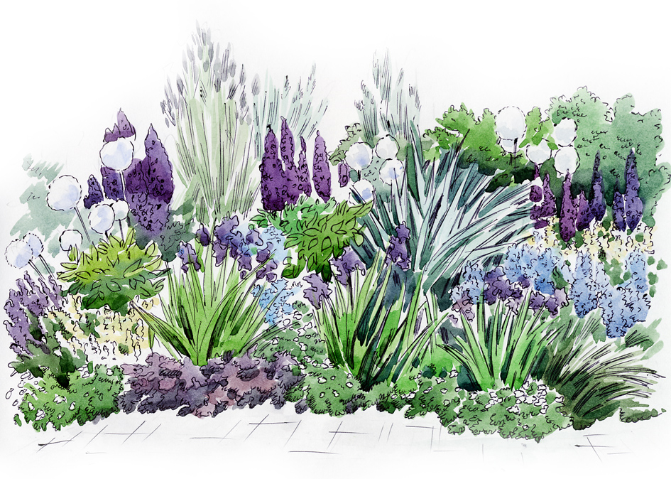 рисунок для журнала "Дом и сад"