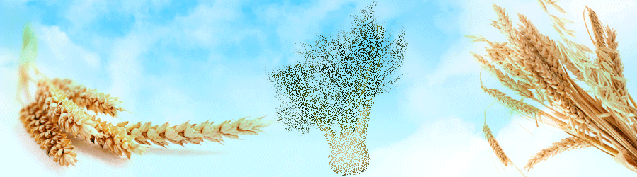 Баннер для аграрной компании