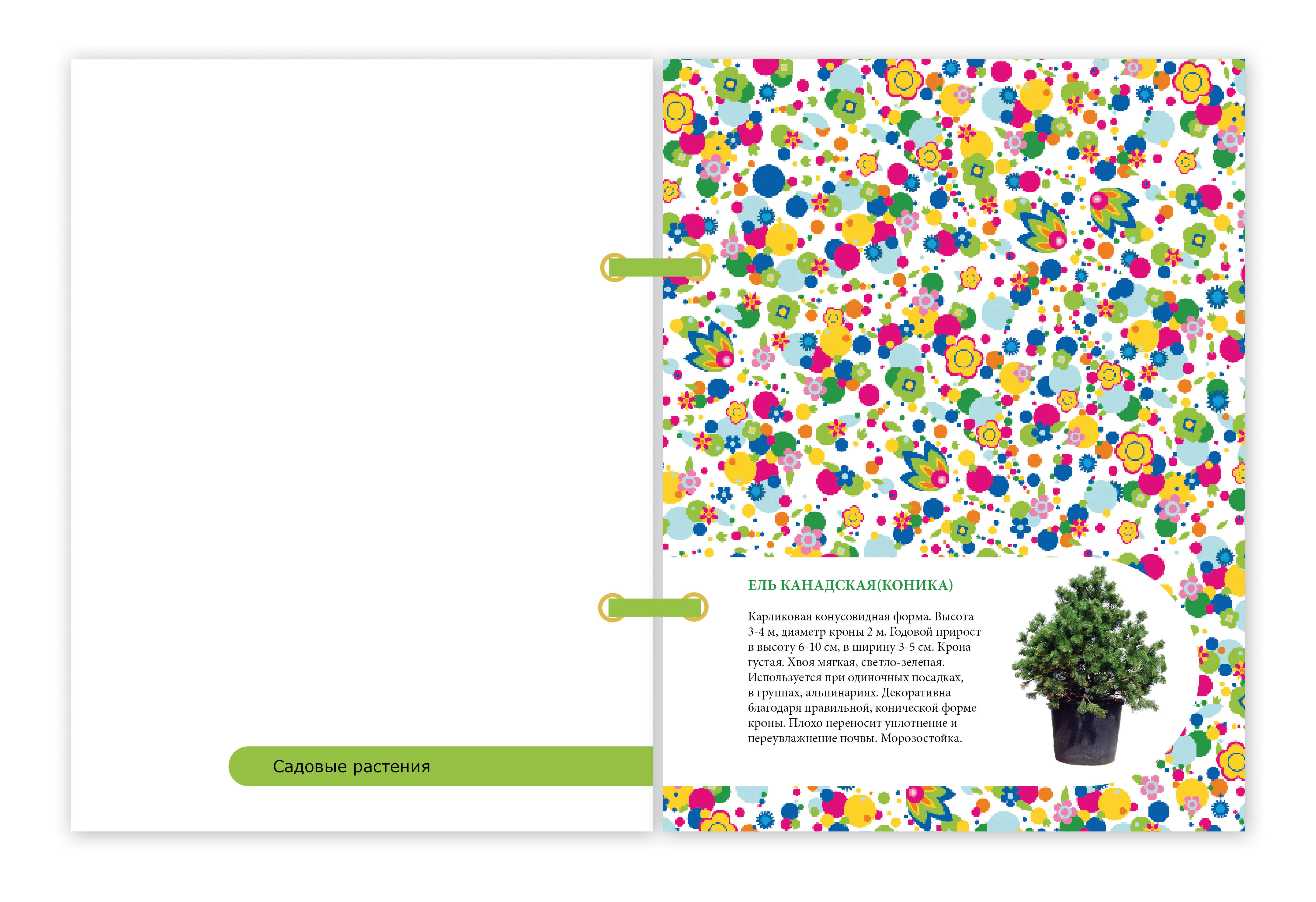 каталог для фирмы "Растительный мир"