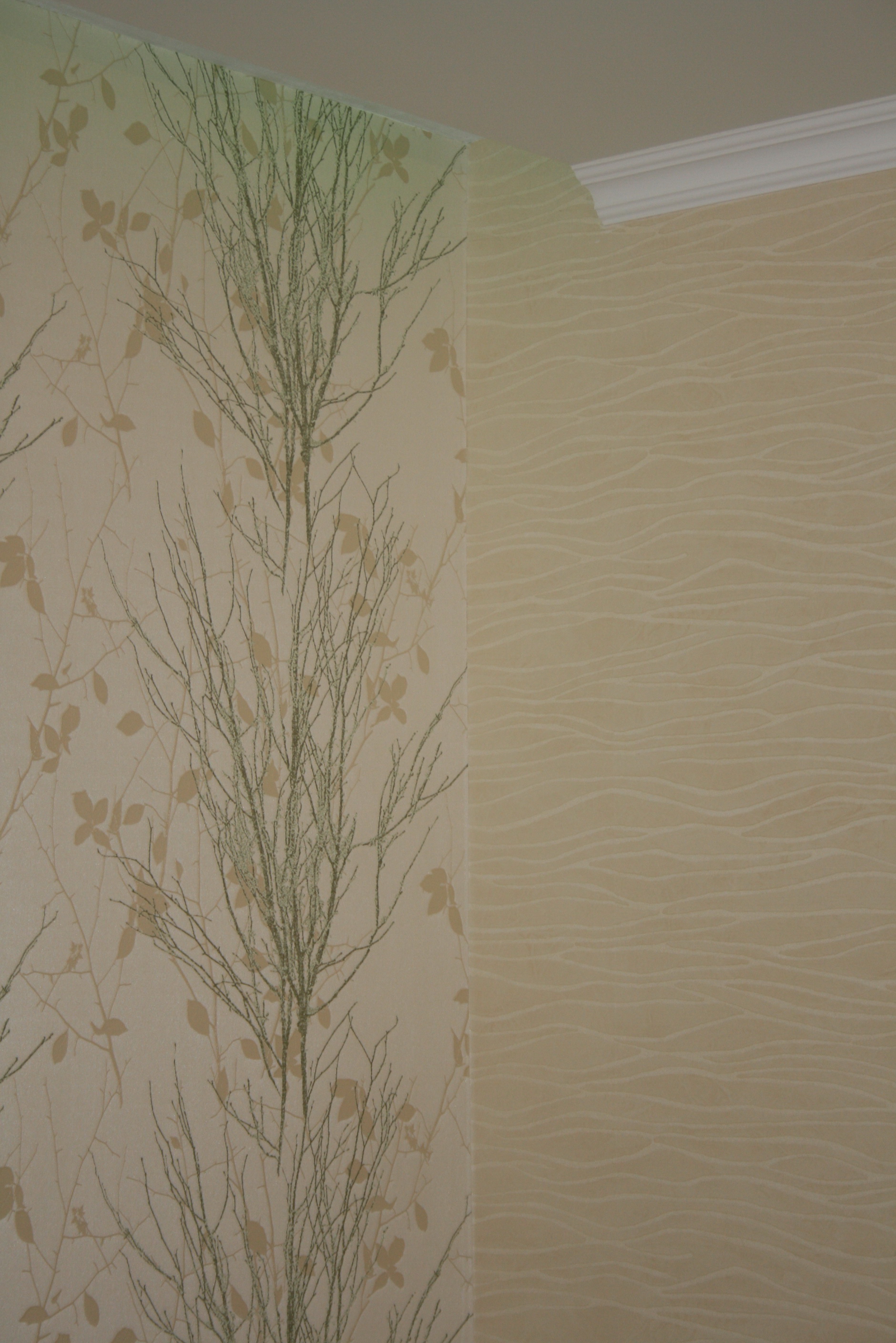 квартира 2-3