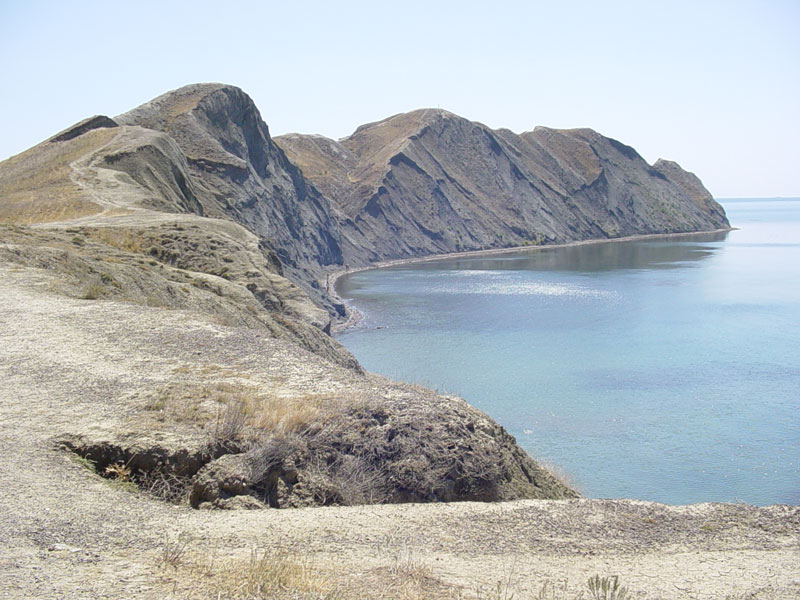 Без названия