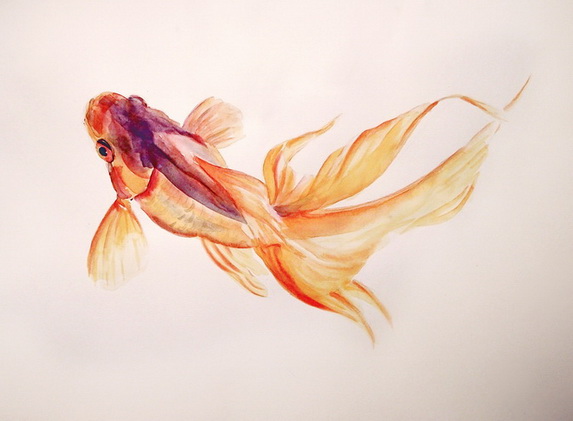 Золотая рыбка