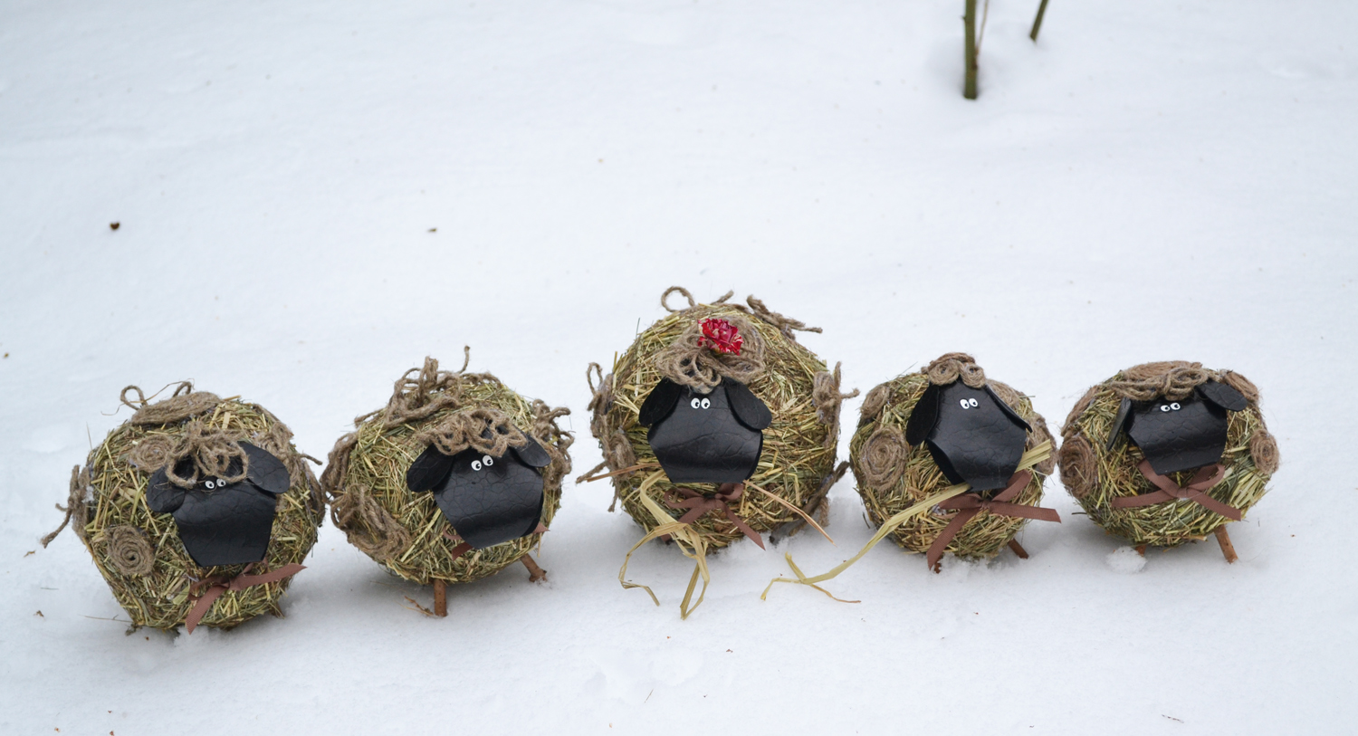Барашки и овечки